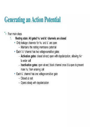 Fundamentals of the Nervous System and Nervous Tissue Lectrure 7