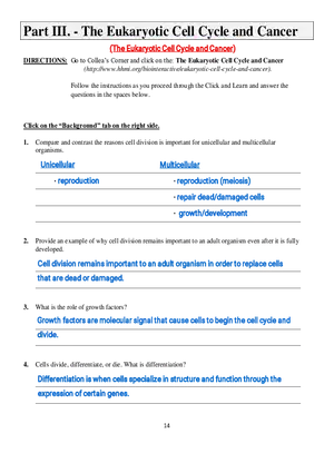 Part III - The Eukaryotic Cell Cycle and Cancer