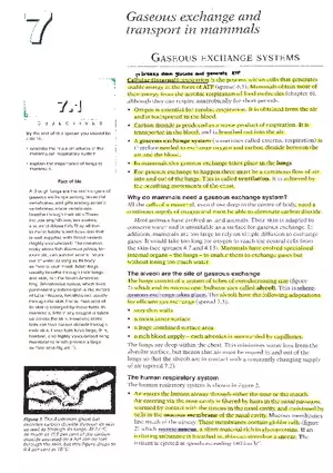 Gaseous Exchange Systems