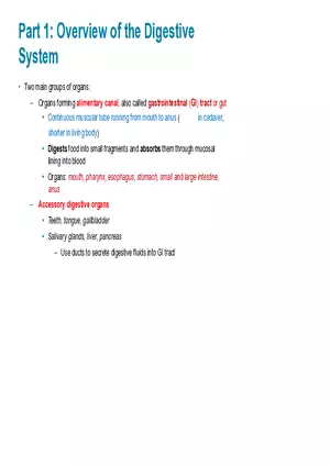 Overview of the Digestive System