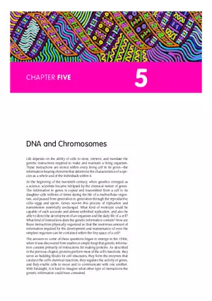 DNA and Chromosomes