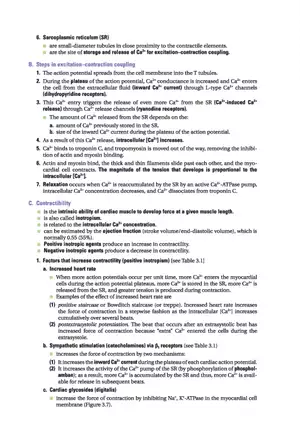 Sarcoplasmic Reticulum