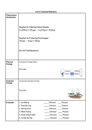 Unit 5 Chemical Reactions Assignment