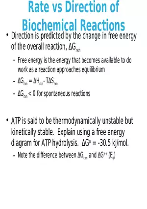 Principles of Biochemistry - Enzymes Lecture 1
