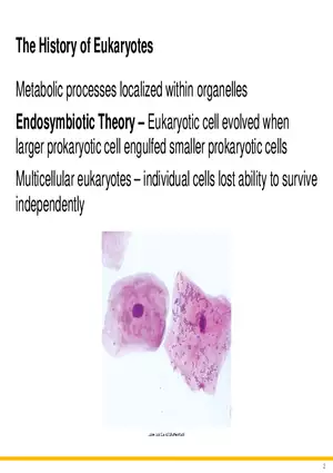 A Survey of Eukaryotic Cells and Microorganisms Part 1