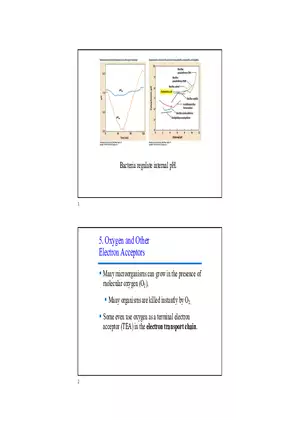 Oxygen and Other Electron Acceptors