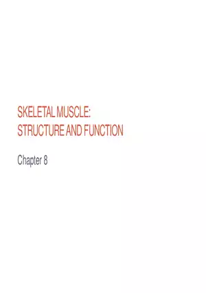 Skeletal Muscle - Structure and Function