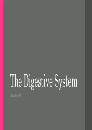 The Digestive System