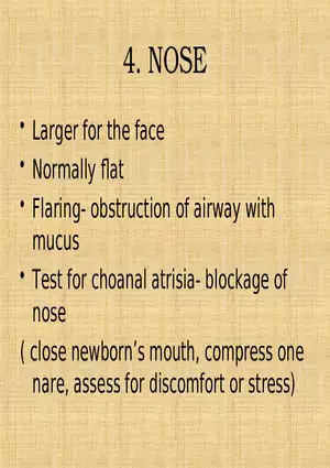 Profile of the Newborn Lecture Part 4