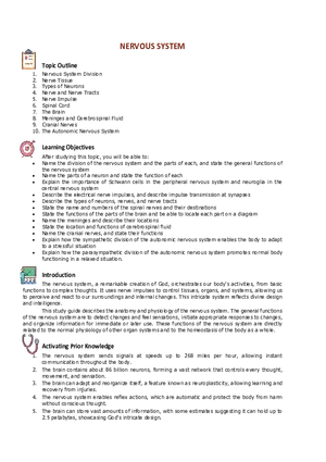 Nervous System Division Study Guide