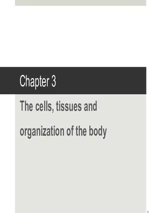 Organization of the Body Note