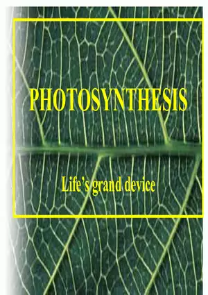 Life’s Grand Device