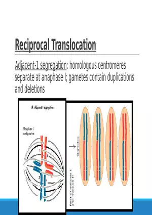 Summary of Aneuploidies Part 3