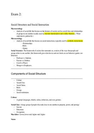 Social Structure and Social Interaction - Marcosociology