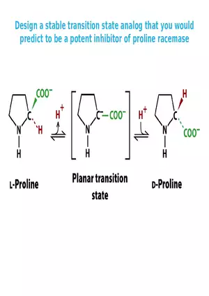 Principles of Biochemistry - Enzymes Lecture 4