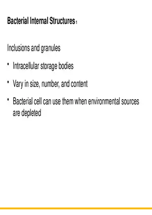 A Survey of Prokaryotic Cells and Microorganisms Lecture 6