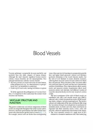 Blood Vessels Study Guide