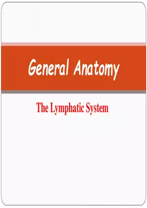 The Lymphatic System