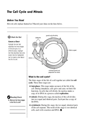 How Do Cells Replace Themselves