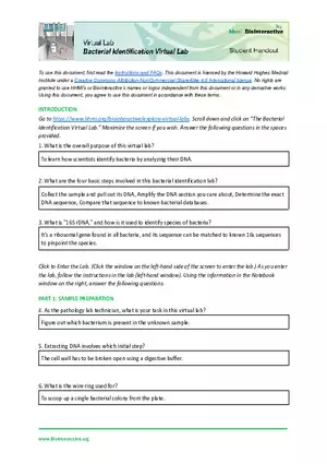 Dev Poduval Bacterial Identification Lab Worksheet