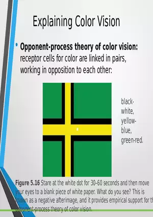 Sensation and Perception Lecture 4