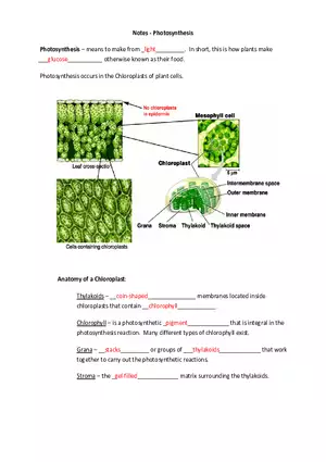 Photosynthesis - Means to Make From Light