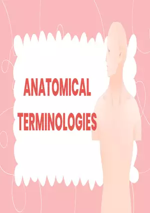 Anatomical Terminologies