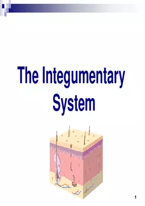 Skin and Its Tissues