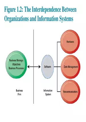 Information Systems in Business Today Lecture 2
