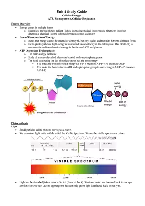 ATP, Photosynthesis, Cellular Respiration