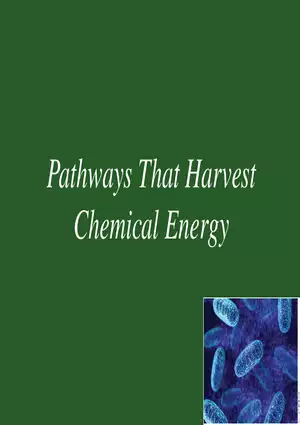 Pathways That Harvest Chemical Energy Lecture Part 1