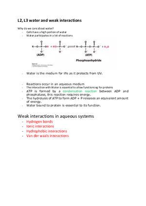 L2, L3 water and weak interactions