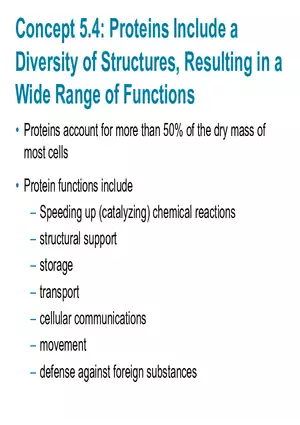 The Structure and Function of Large Biological Molecules Chapter 5