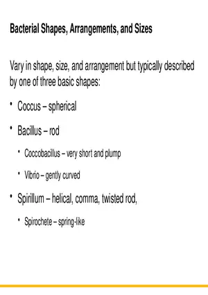 A Survey of Prokaryotic Cells and Microorganisms Lecture 7