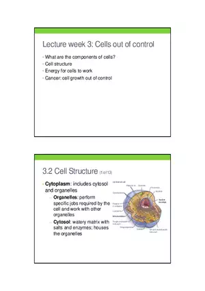 Cells Out of Control Lecture 3