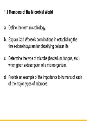 Members of the Microbial World