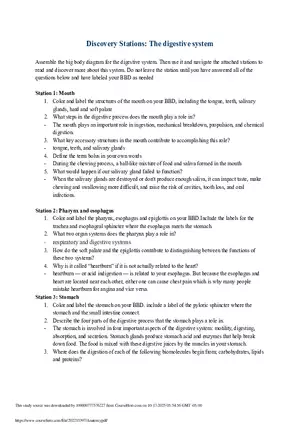 Discovery Stations: The digestive system