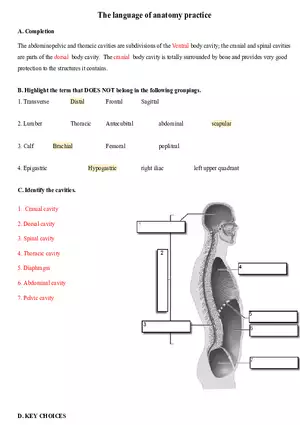 The Language of Anatomy Practice