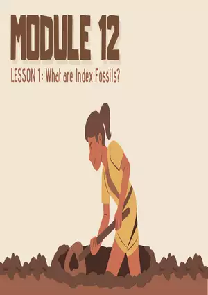 What are Index Fossils