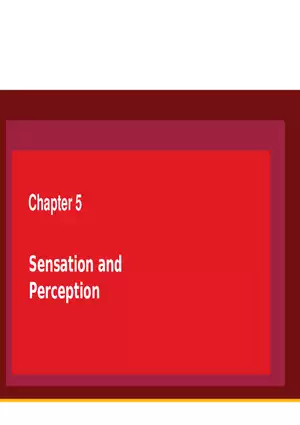 Sensation and Perception Lecture 1