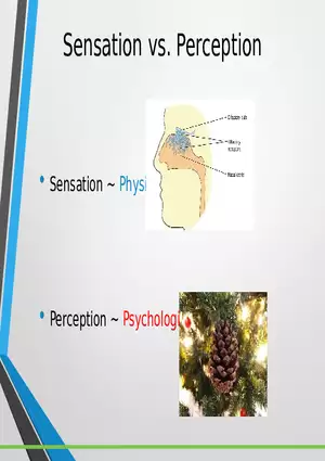 Sensation and Perception Lecture 2