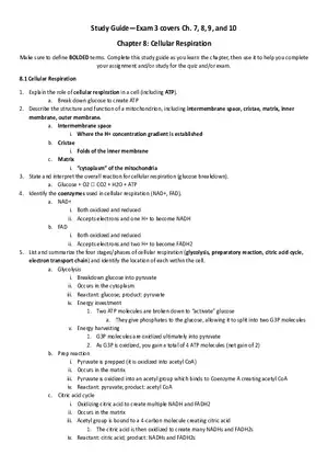 Chapter 8 Cellular Respiration