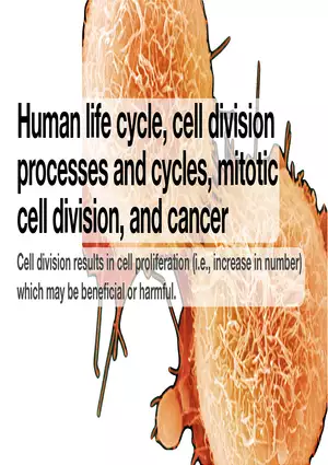 Human Life Cycle, Cell Division Processes and Cycles