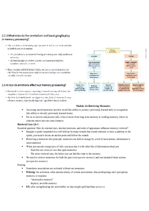 Psychology Unit 2 - Cognition (Part 3)