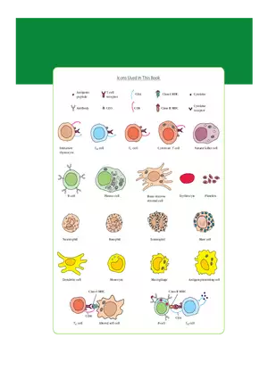Antigenic Peptide Sheet