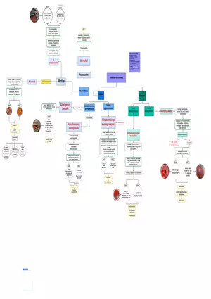 Melioidosis Transmission and Risk Factors