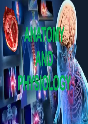 Definitions, Levels of Organization, and Functional Characteristics of Life