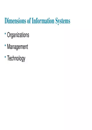 Information Systems in Business Today Lecture 3