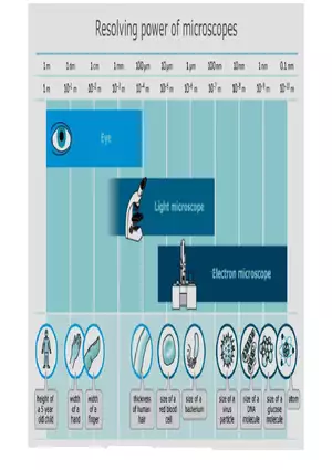 Classification of Microorganisms Lecture 2