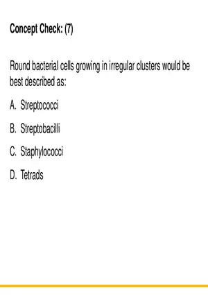 A Survey of Prokaryotic Cells and Microorganisms Lecture 10